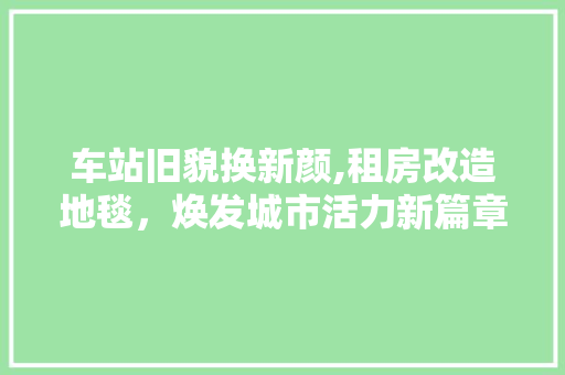 车站旧貌换新颜,租房改造地毯，焕发城市活力新篇章