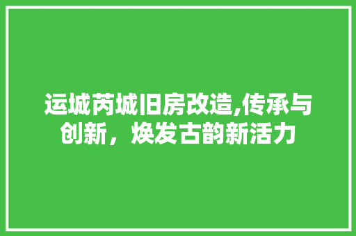 运城芮城旧房改造,传承与创新，焕发古韵新活力