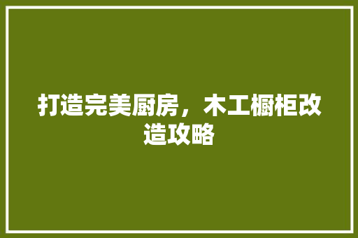 打造完美厨房，木工橱柜改造攻略