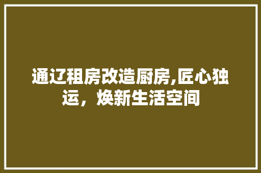 通辽租房改造厨房,匠心独运，焕新生活空间
