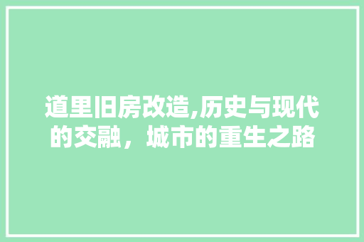 道里旧房改造,历史与现代的交融，城市的重生之路
