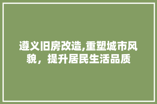 遵义旧房改造,重塑城市风貌，提升居民生活品质