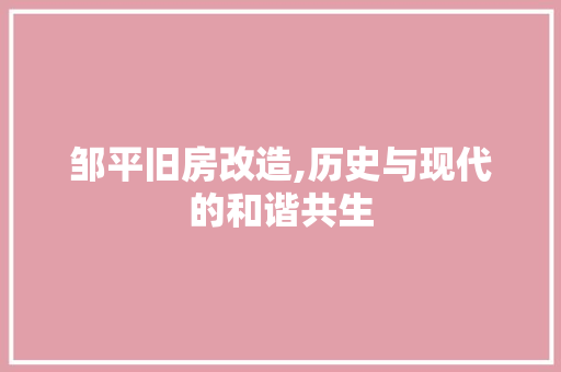 邹平旧房改造,历史与现代的和谐共生