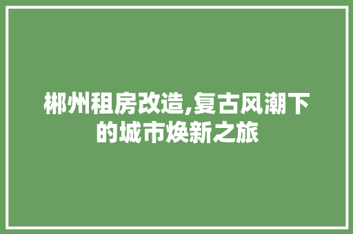 郴州租房改造,复古风潮下的城市焕新之旅