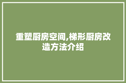 重塑厨房空间,梯形厨房改造方法介绍