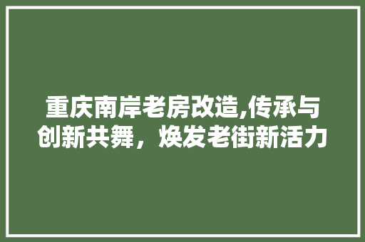 重庆南岸老房改造,传承与创新共舞，焕发老街新活力