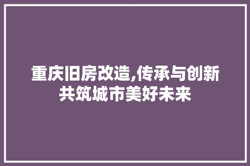 重庆旧房改造,传承与创新共筑城市美好未来