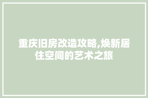 重庆旧房改造攻略,焕新居住空间的艺术之旅