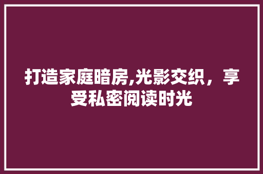 打造家庭暗房,光影交织，享受私密阅读时光