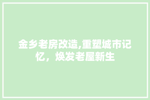 金乡老房改造,重塑城市记忆，焕发老屋新生