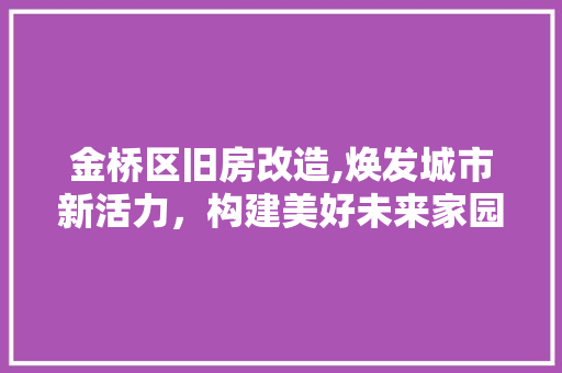 金桥区旧房改造,焕发城市新活力，构建美好未来家园