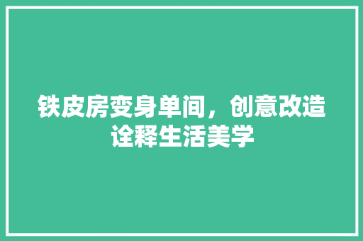 铁皮房变身单间，创意改造诠释生活美学