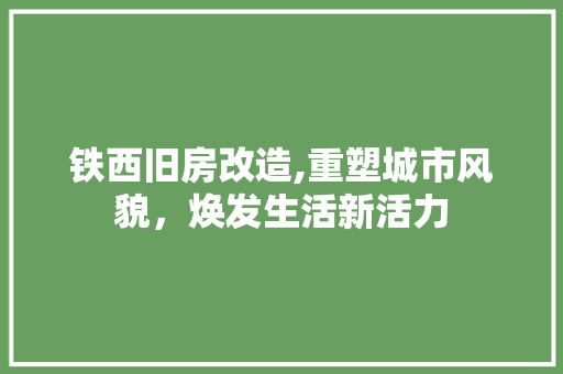 铁西旧房改造,重塑城市风貌，焕发生活新活力