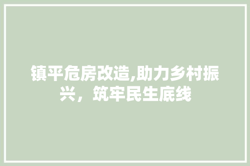 镇平危房改造,助力乡村振兴，筑牢民生底线