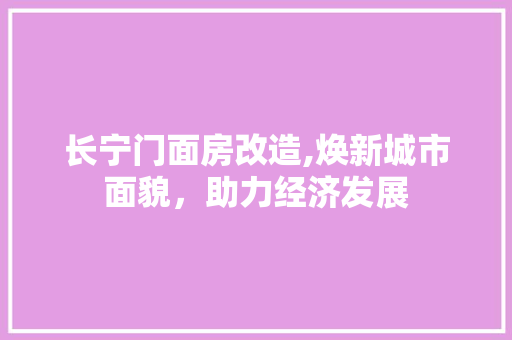 长宁门面房改造,焕新城市面貌，助力经济发展