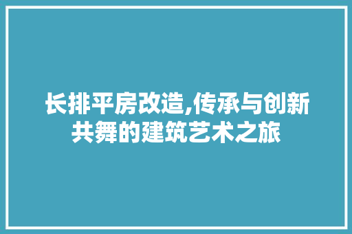 长排平房改造,传承与创新共舞的建筑艺术之旅