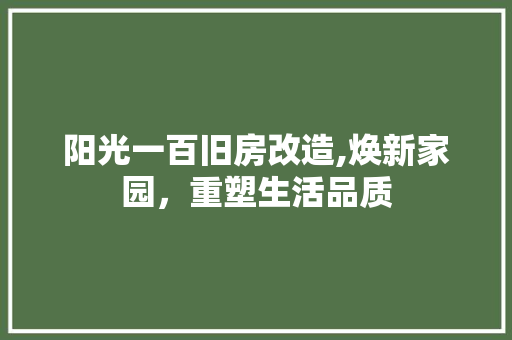阳光一百旧房改造,焕新家园，重塑生活品质