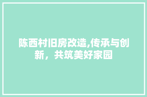 陈西村旧房改造,传承与创新，共筑美好家园