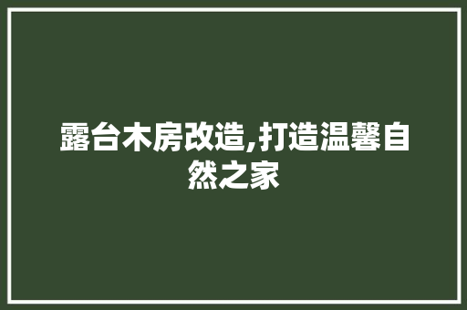 露台木房改造,打造温馨自然之家