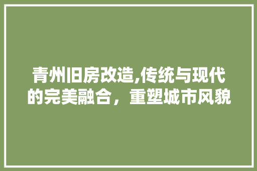 青州旧房改造,传统与现代的完美融合，重塑城市风貌