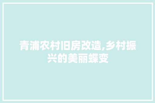 青浦农村旧房改造,乡村振兴的美丽蝶变