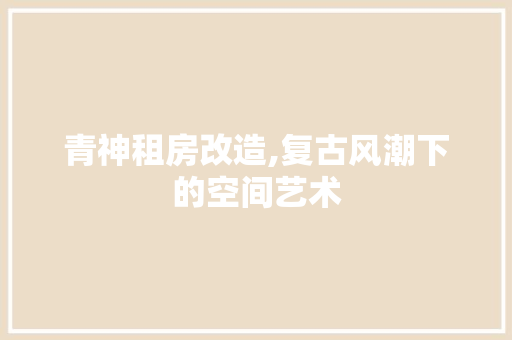 青神租房改造,复古风潮下的空间艺术