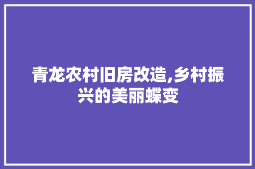 青龙农村旧房改造,乡村振兴的美丽蝶变
