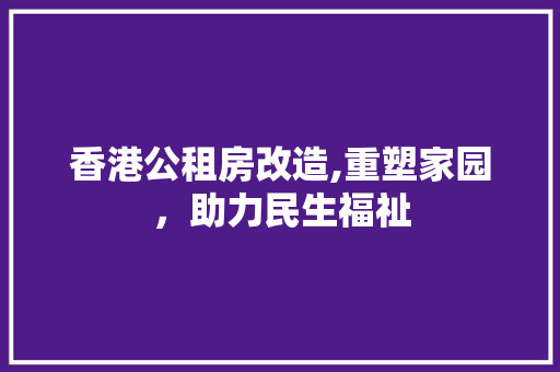 香港公租房改造,重塑家园，助力民生福祉
