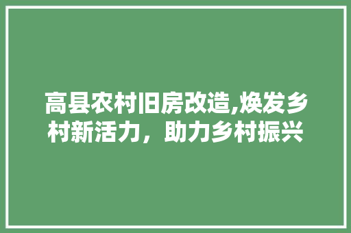 高县农村旧房改造,焕发乡村新活力，助力乡村振兴