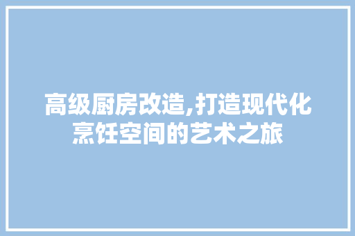 高级厨房改造,打造现代化烹饪空间的艺术之旅