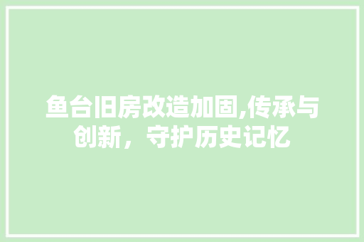 鱼台旧房改造加固,传承与创新，守护历史记忆