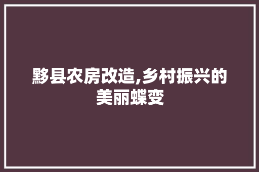 黟县农房改造,乡村振兴的美丽蝶变