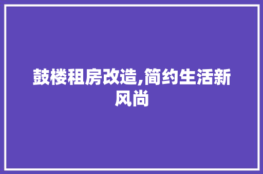 鼓楼租房改造,简约生活新风尚
