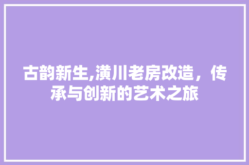 古韵新生,潢川老房改造，传承与创新的艺术之旅