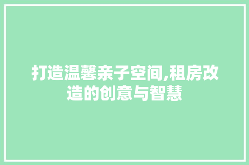 打造温馨亲子空间,租房改造的创意与智慧