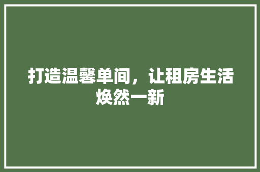 打造温馨单间，让租房生活焕然一新