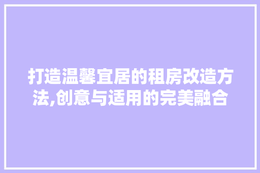 打造温馨宜居的租房改造方法,创意与适用的完美融合