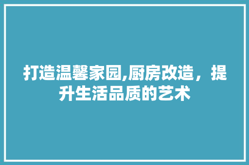 打造温馨家园,厨房改造，提升生活品质的艺术