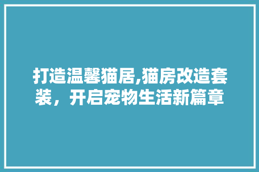 打造温馨猫居,猫房改造套装，开启宠物生活新篇章
