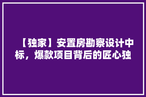 【独家】安置房勘察设计中标，爆款项目背后的匠心独运！
