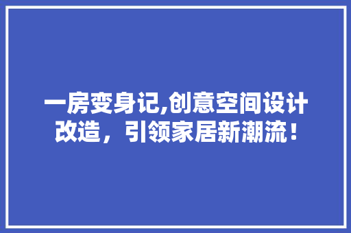 一房变身记,创意空间设计改造，引领家居新潮流！