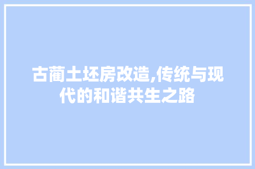 古蔺土坯房改造,传统与现代的和谐共生之路