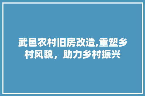武邑农村旧房改造,重塑乡村风貌，助力乡村振兴