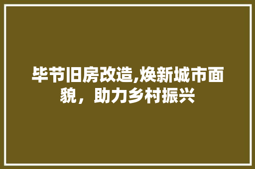 毕节旧房改造,焕新城市面貌，助力乡村振兴