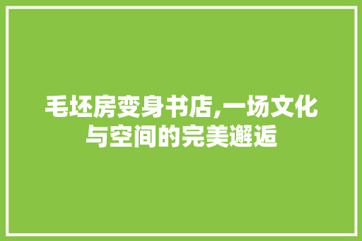 毛坯房变身书店,一场文化与空间的完美邂逅