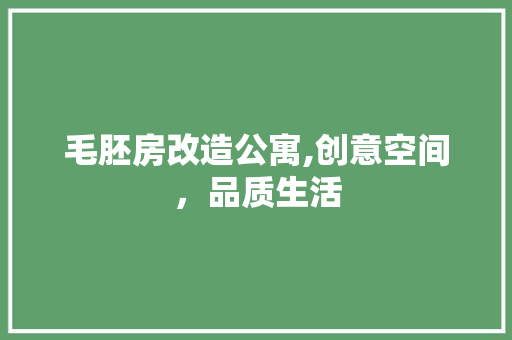 毛胚房改造公寓,创意空间，品质生活
