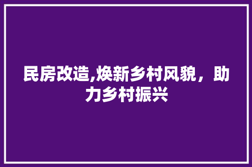 民房改造,焕新乡村风貌，助力乡村振兴