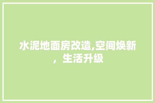 水泥地面房改造,空间焕新，生活升级