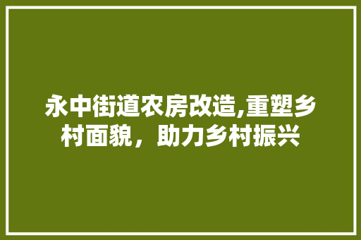 永中街道农房改造,重塑乡村面貌，助力乡村振兴