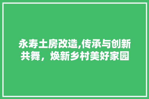 永寿土房改造,传承与创新共舞，焕新乡村美好家园